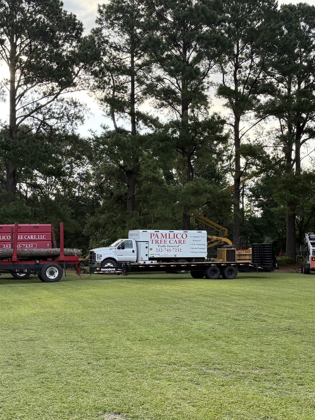 Pamlico Tree Care fleet