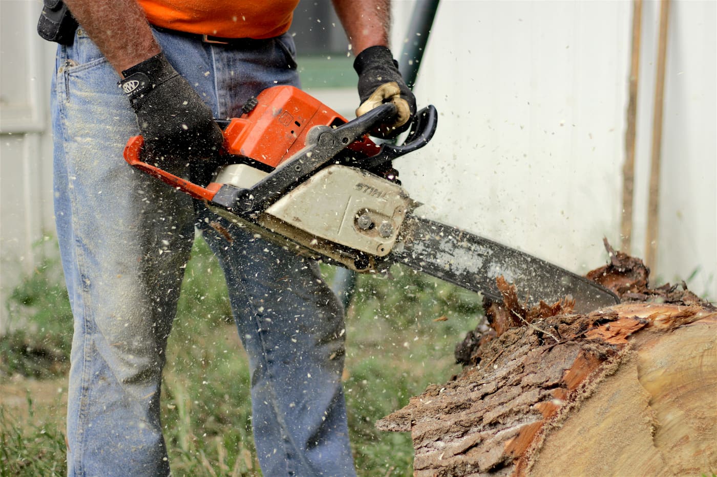Pamlico Tree Care crew cutting a felled tree with a chainsaw during storm cleanup